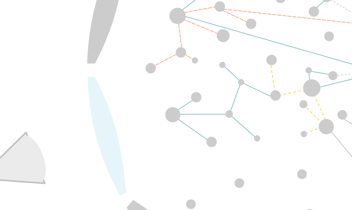 The problem solver or researcher perspective