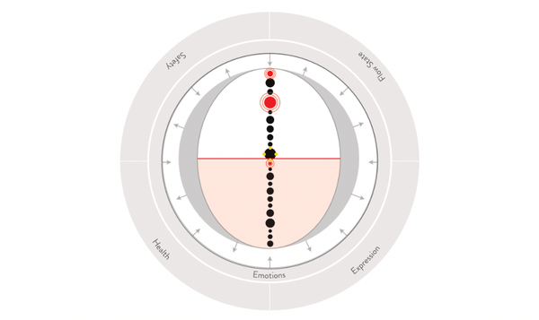 Who-ness: an abstract map of an individual's processing factors