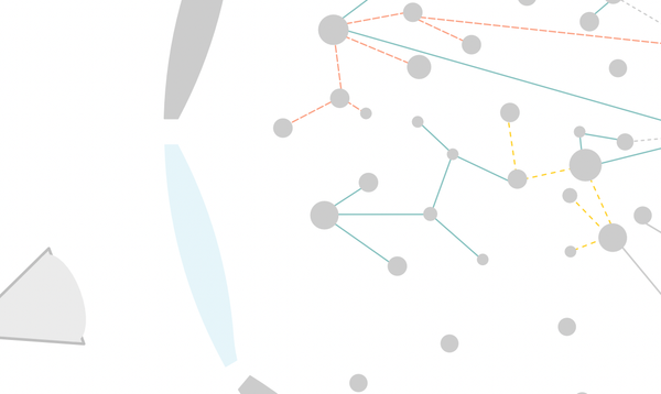 The problem solver or researcher perspective