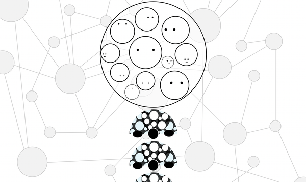 Determinism and shifting taxonomy